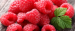 Importer from the Netherlands is looking for Raspberry